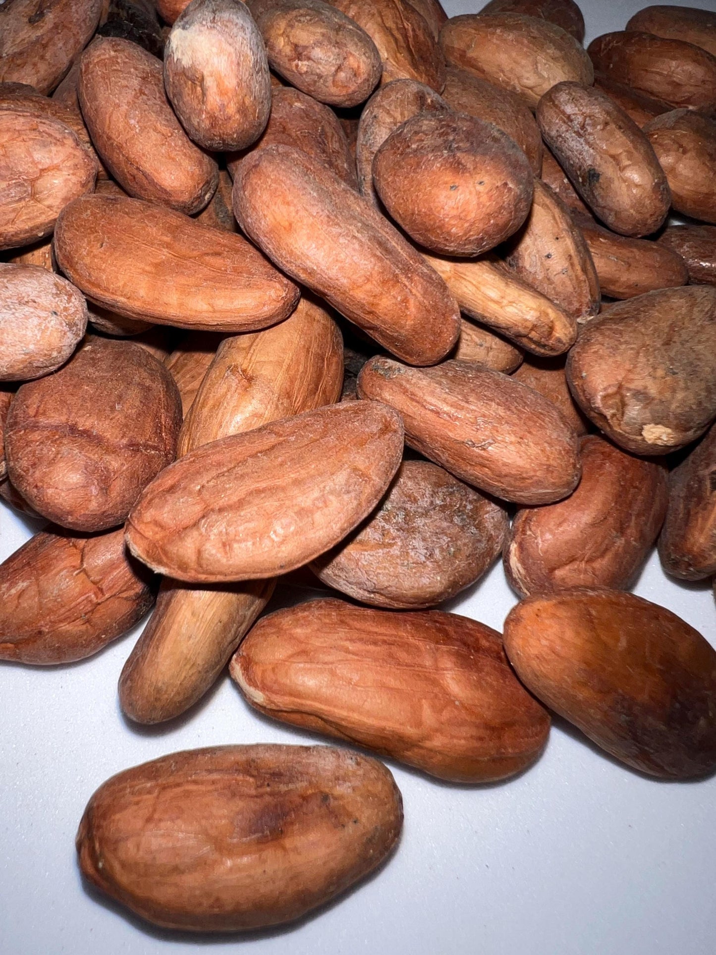 100% Organic Raw Cacao Beans