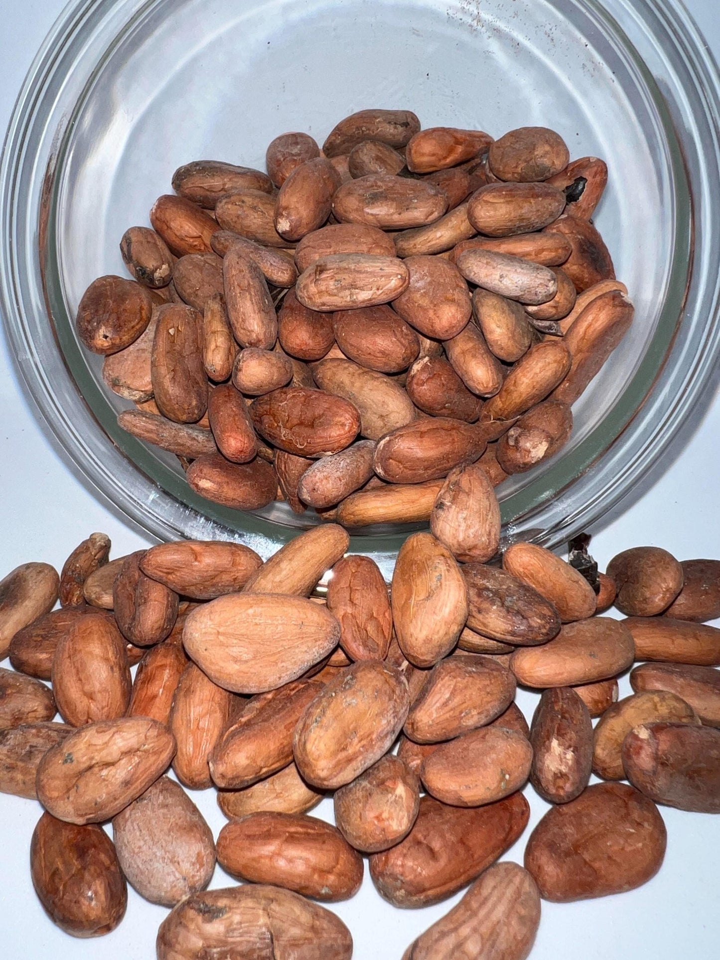 100% Organic Raw Cacao Beans