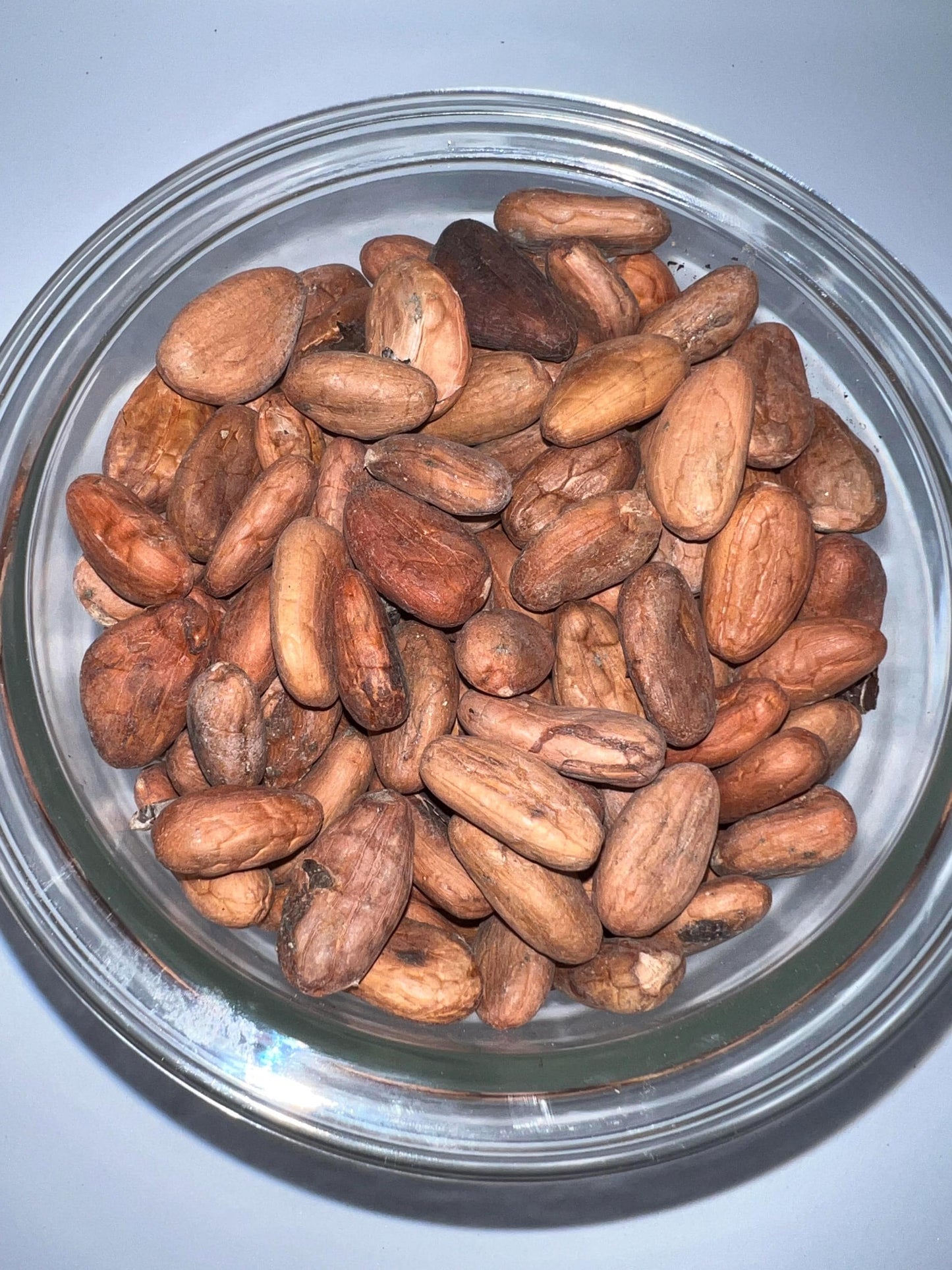 100% Organic Raw Cacao Beans